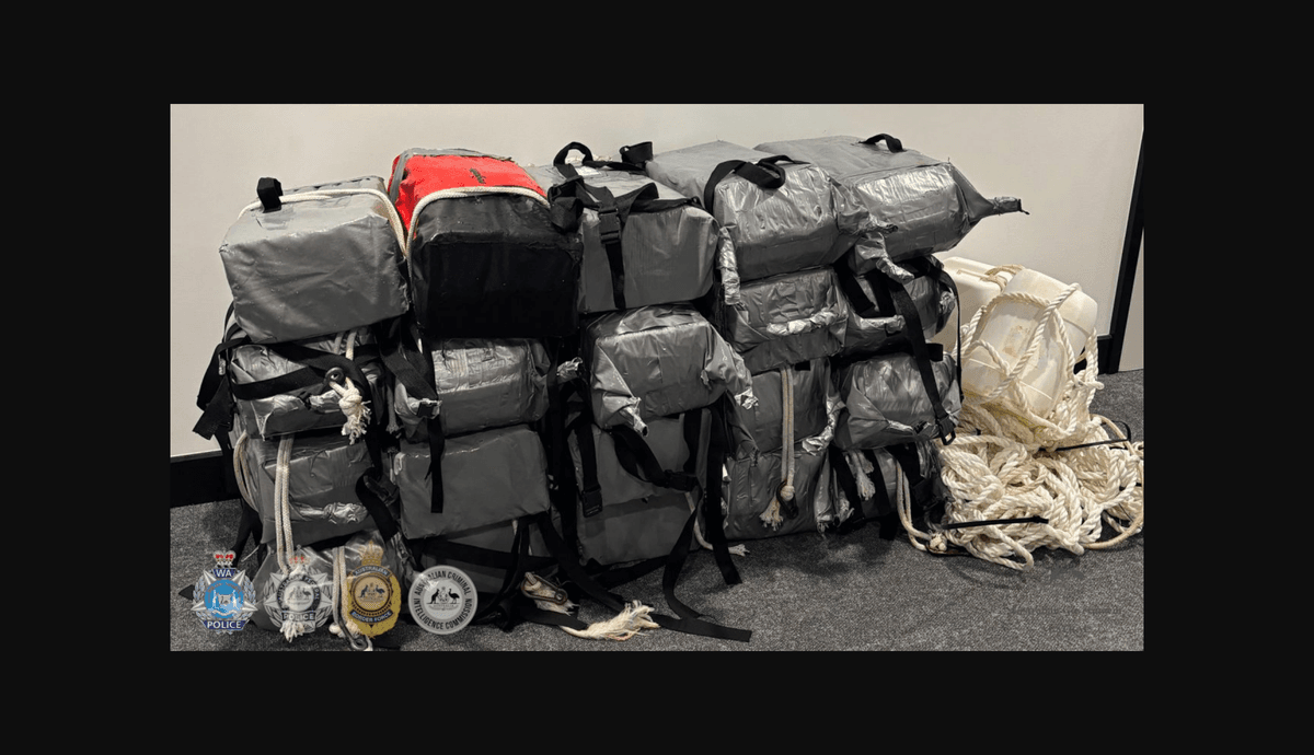 Detenido un 'rescatista' de cocaína que recolectaba paquetes de barcos de ganado vivo