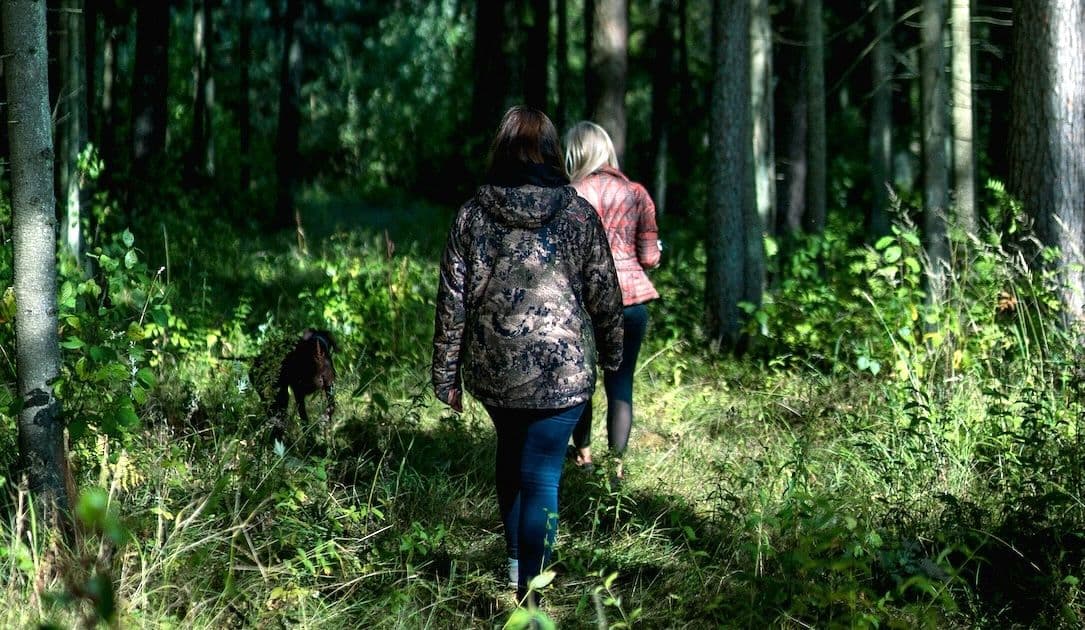 Empresa forestal letona sigue restaurando sistemas semanas después de ataque de ransomware