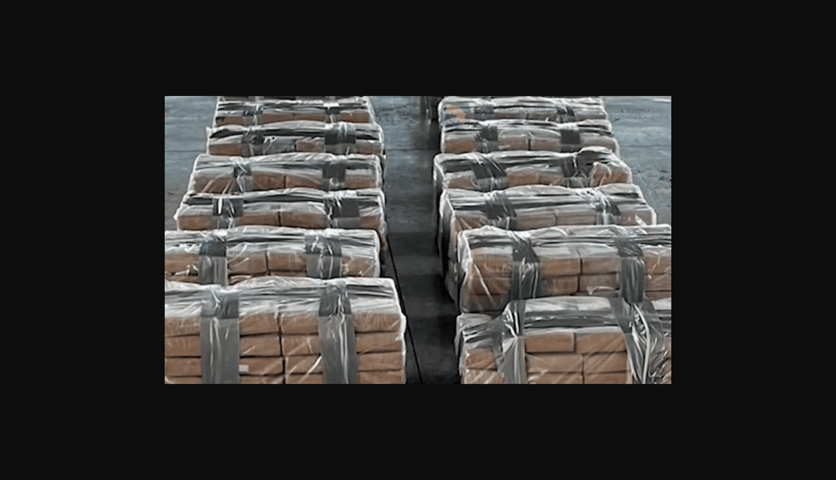 Incautan 643 kilos de cocaína con destino al puerto de Valencia