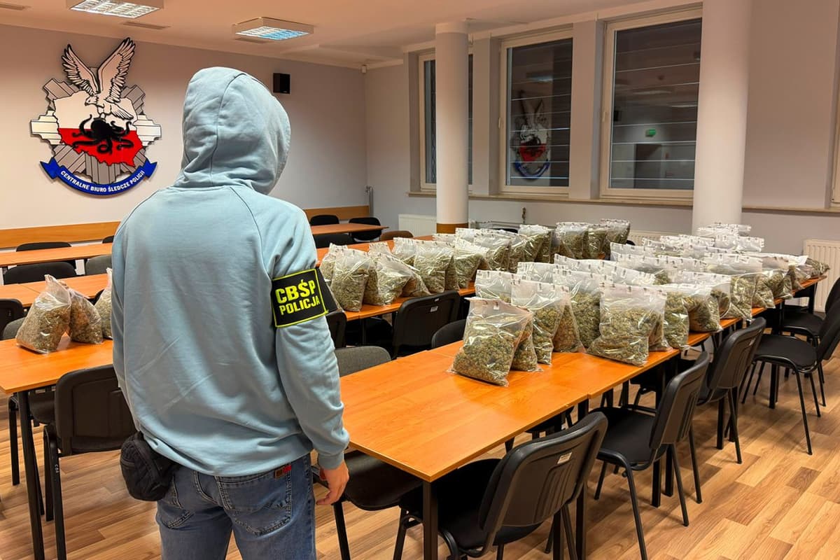 Detectan una importante vía de tráfico de drogas entre Polonia y España
