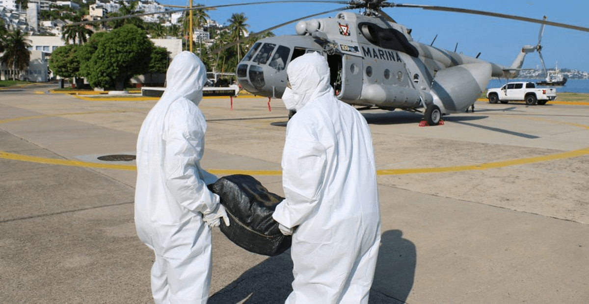 Confiscan cerca de dos toneladas de cocaína en un operativo aéreo en Guerrero.