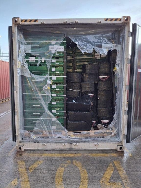 Confiscan una tonelada de cocaína oculta en plátanos en el puerto de Southampton