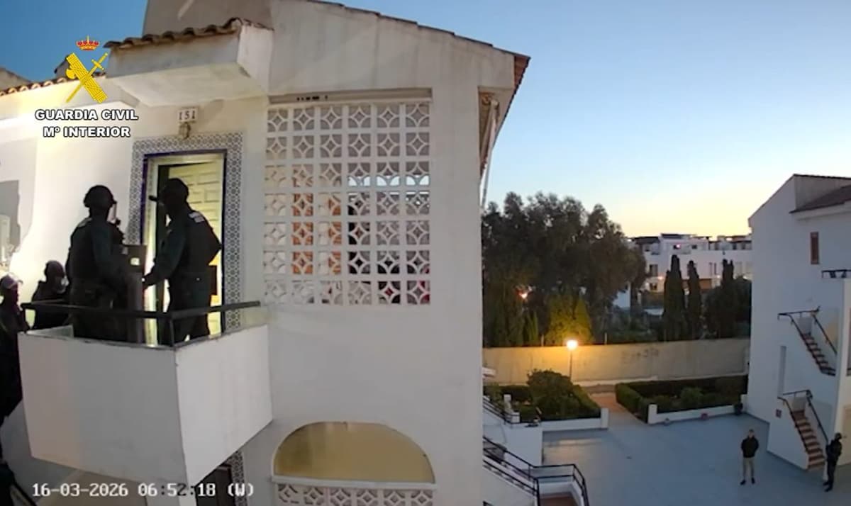 Cerradas cinco asociaciones de cannabis que comercializaban estupefacientes en Torrevieja